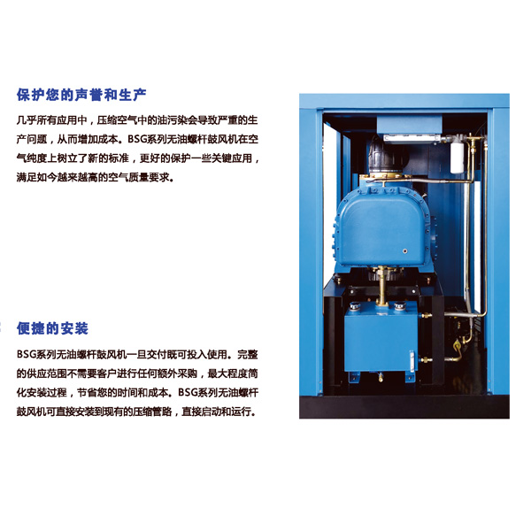 螺杆鼓风机